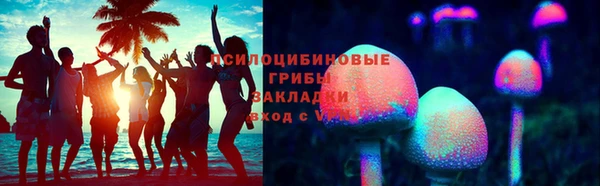 соль ск Волосово