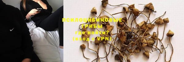 каннабис Верея
