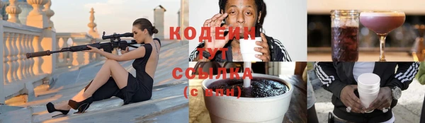 соль ск Волосово