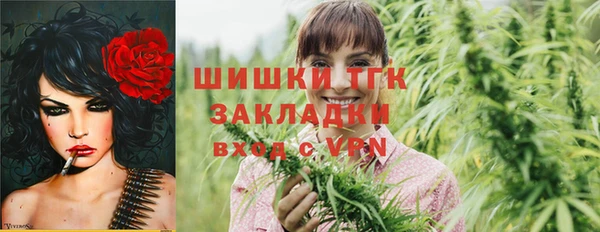 соль ск Волосово