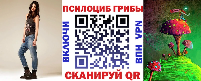 Купить закладки Ивангород Галлюциногенные грибы Cubensis